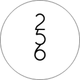 256 ONLINE STORES