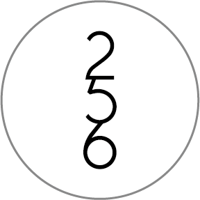256 ONLINE STORES