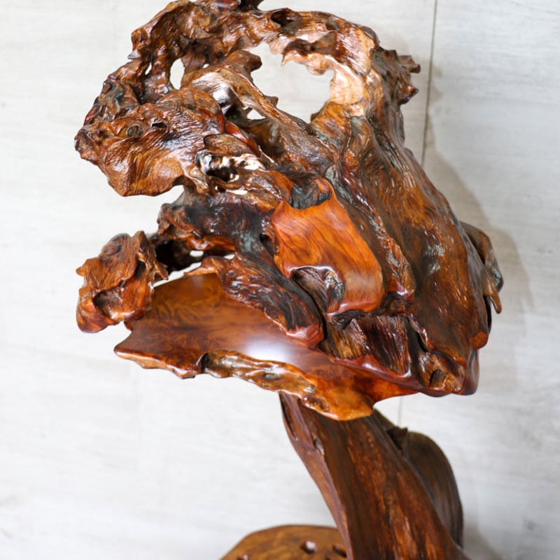 屋久杉 灯篭自然こぶ | kotenyakusugi's STORE