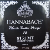 【ギター】HANNABACH　Midium　１弦