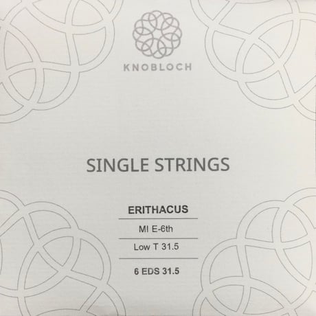 【ギター】ノブロック　エリタクス　6弦