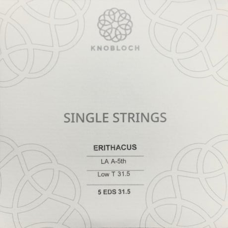 【ギター】ノブロック　エリタクス　5弦