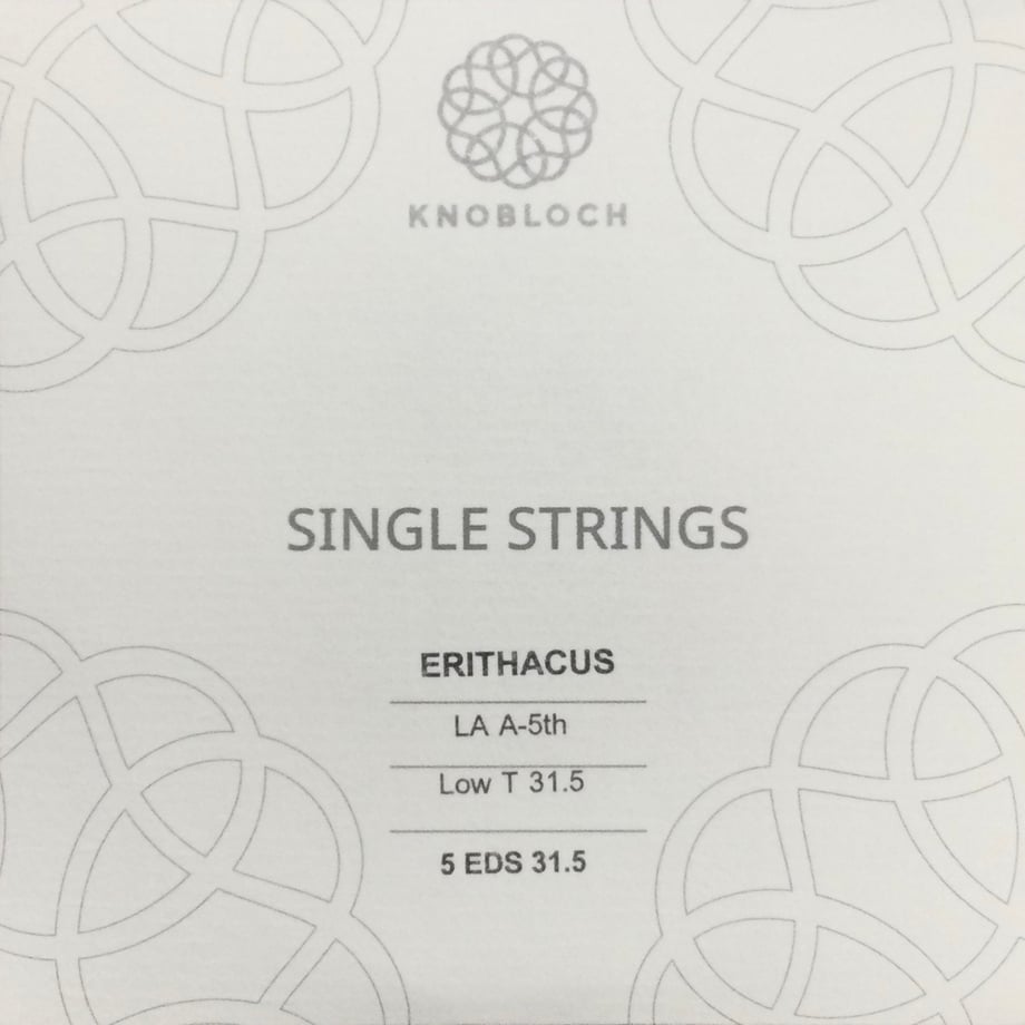 67581196c6500802f30c3080