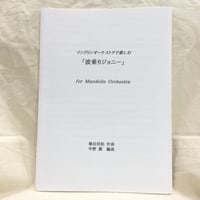 桑田佳祐／波乗りジョニー（マンドリン合奏）編曲・中野薫