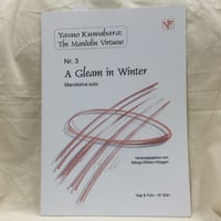 桑原康雄／冬の光　A Gleam in Winter (mandolin solo)
