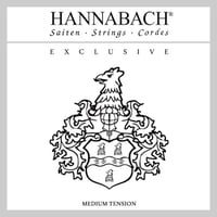 【ギター弦】HANNABACH EXCLUSIVE  Medium　セット