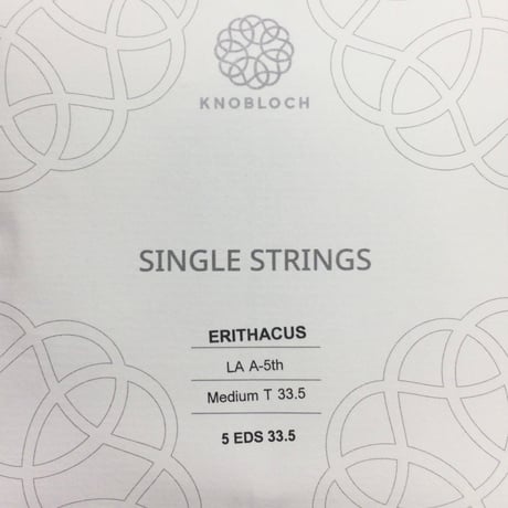 【ギター】ノブロック　エリタクス　5弦