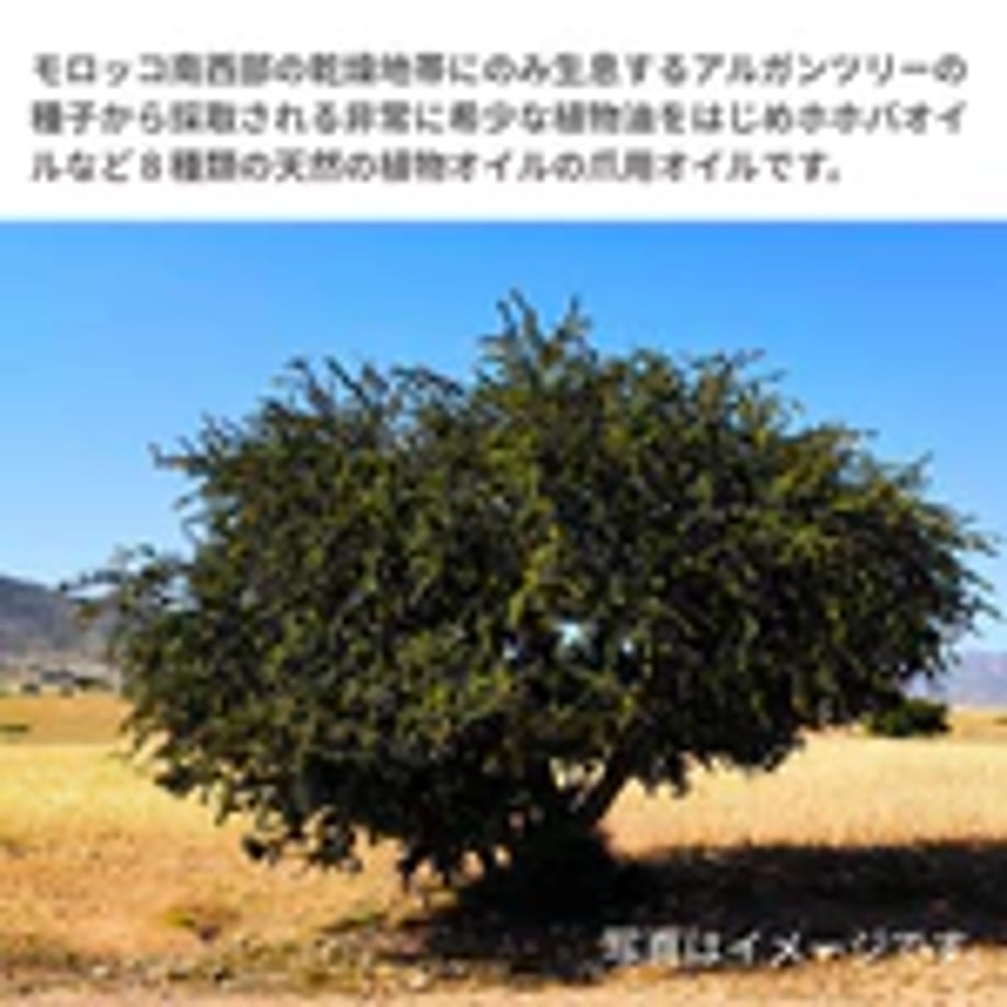 6a3d1beb380c3d188a0ba757