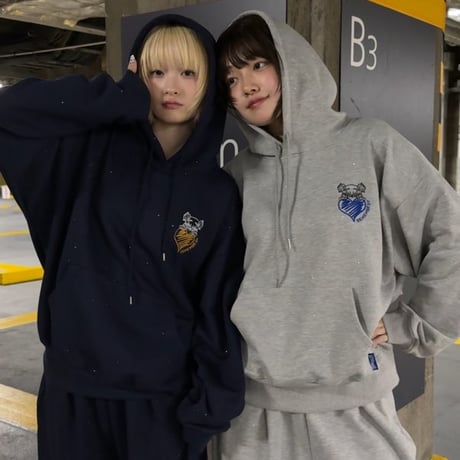 Glitter Spring SU Hoodie