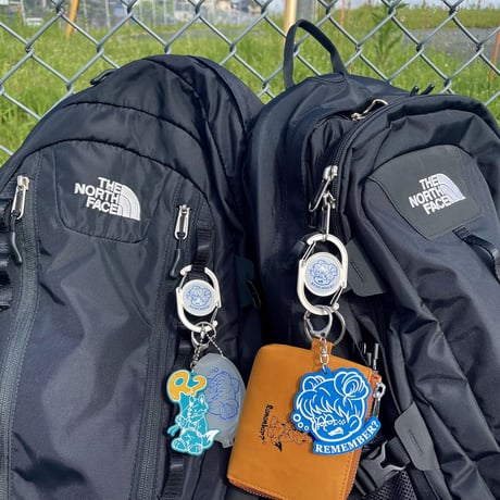 Remember GRASS CARABINER