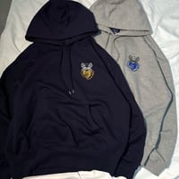 Glitter Spring SU Hoodie