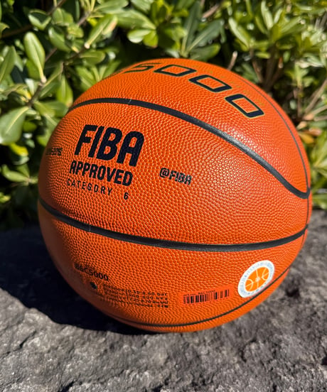 Remember Basket Ball