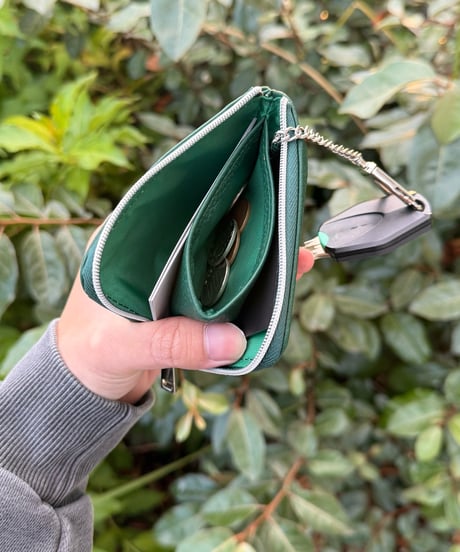 Compact Multi Case