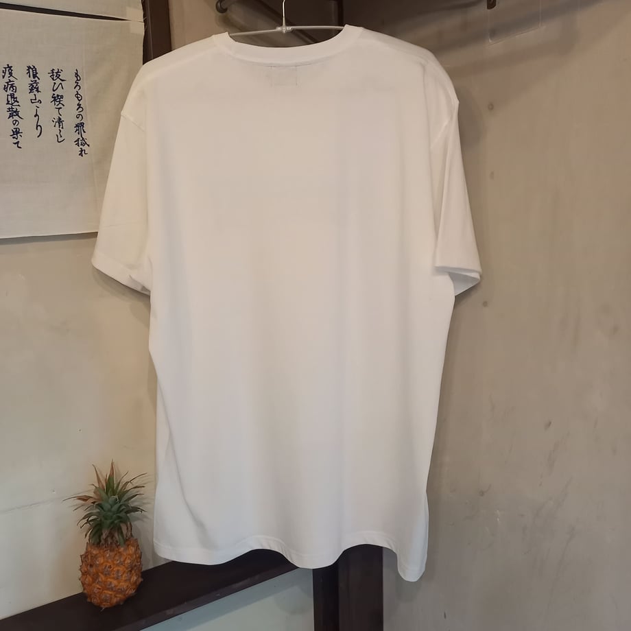 62e2569a8691ec7c73ed6235
