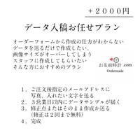 データ入稿プラン【オプション】