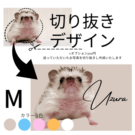 ペン立て付き写真入り高級ガラスフォトスタンド
