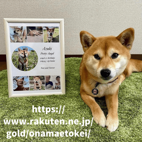 ペット・思い出ギフト　A４デザイン時計【送料無料】
