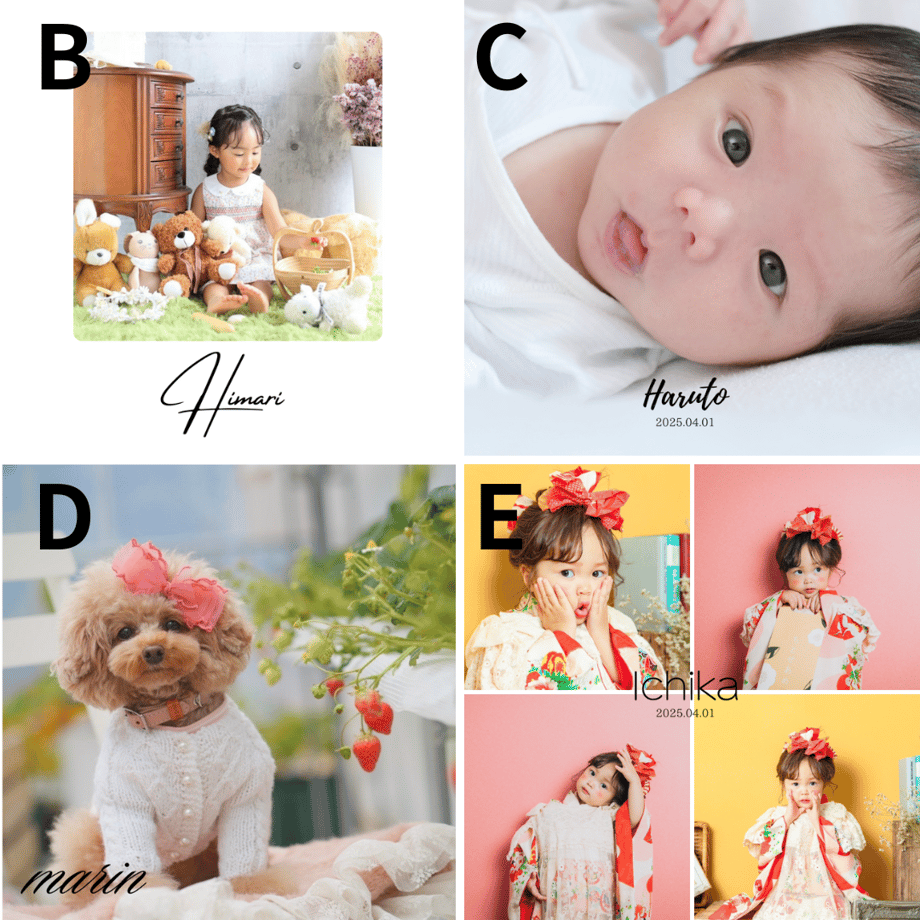 65db502ab2940f1b2271636b
