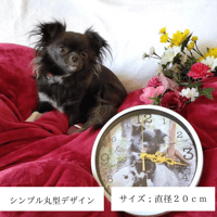 ペット・思い出ギフト　丸型時計【送料無料】