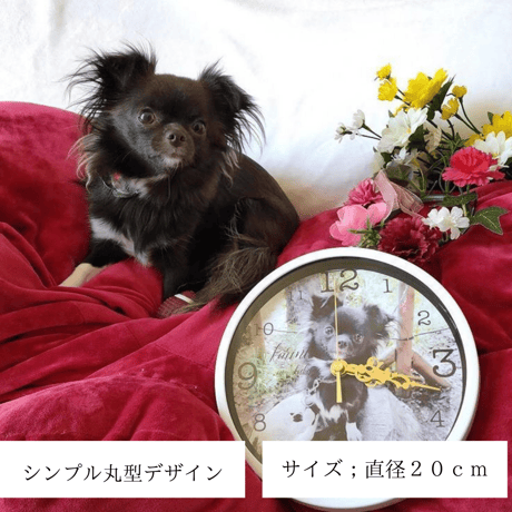 ペット・思い出ギフト　丸型時計【送料無料】