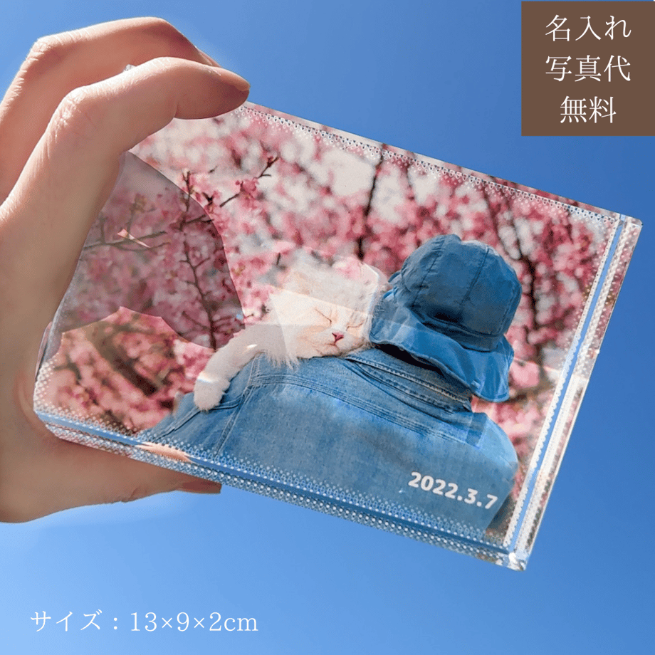 641cb4711d03e900641e1657