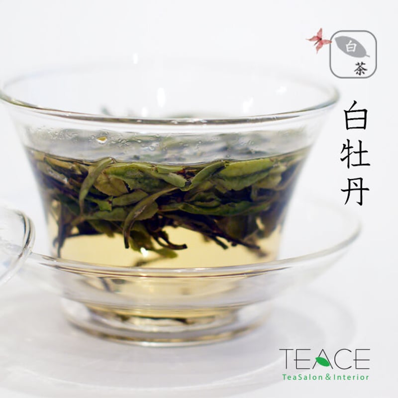 中国白茶】白牡丹 20g | TEACE