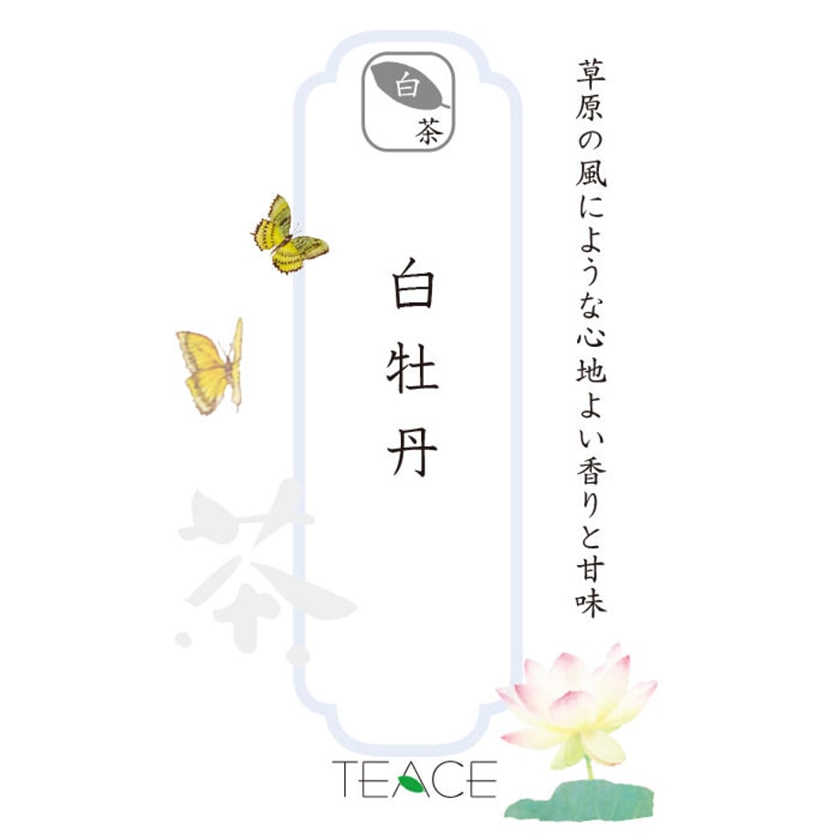 6453c74de99ff900b0ed47cf