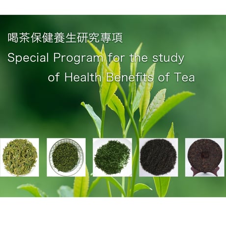 第二回【オンライン配信】中医学と養生文化にふれる漢方養生講座「養生における中国茶と薬膳」
