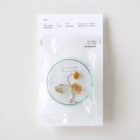 POT-POURRI　&　HERBARIUM (No,1)
