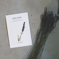 herbarium　(SAYSFARMで採れたハーブ)
