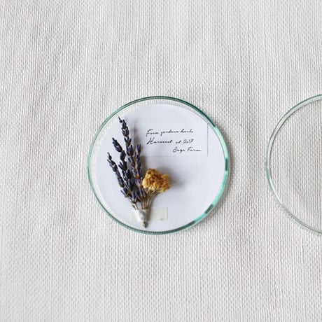 POT-POURRI　&　HERBARIUM (No,2)