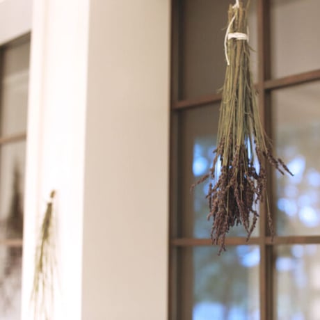 herbarium　(SAYSFARMで採れたハーブ)