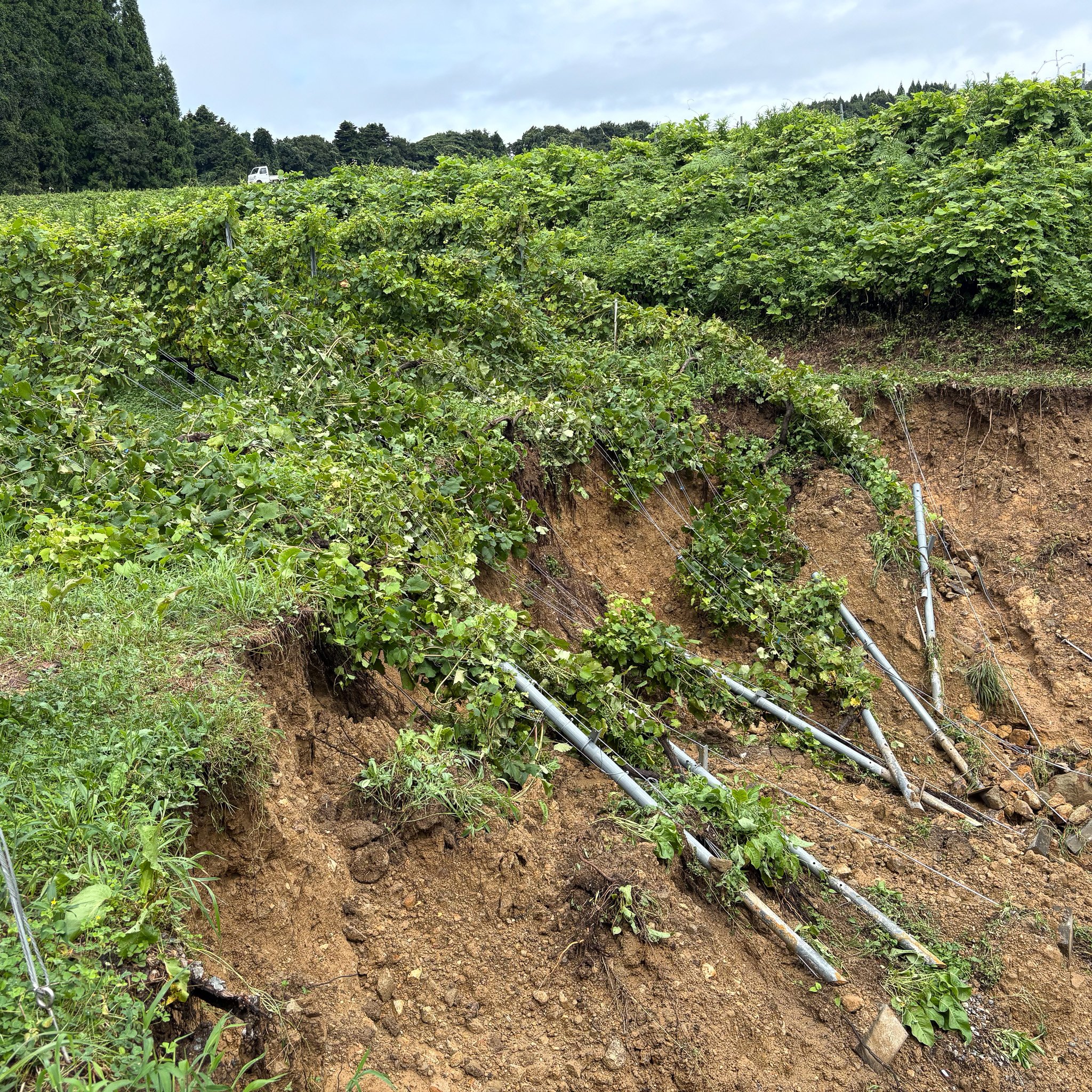 大雨の被害状況につきまして