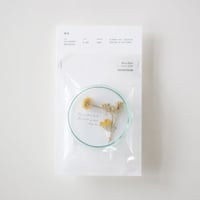 POT-POURRI　&　HERBARIUM (No,2)