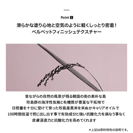 ハルハルワンダー ブラックライスモイスチャーエアリーフィットデイリーサンスクリーン Black Rice Moisture Airyfit Daily Sunscreen SPF50+/PA++++