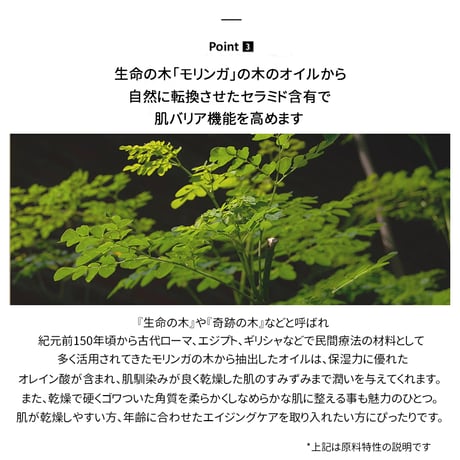 ハルハルワンダー ブラックライスモイスチャーエアリーフィットデイリーサンスクリーン Black Rice Moisture Airyfit Daily Sunscreen SPF50+/PA++++