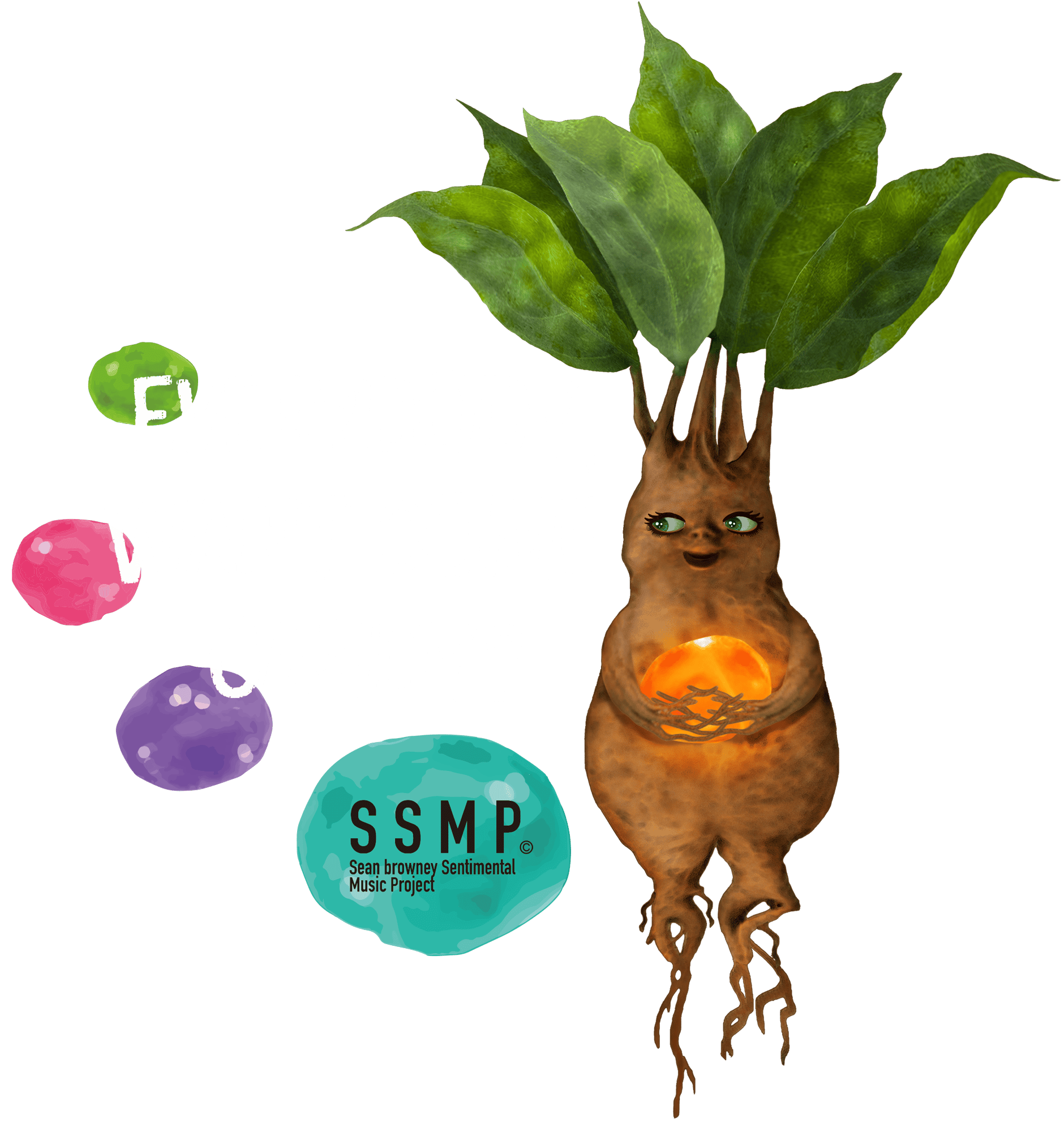 SSMP Official Store