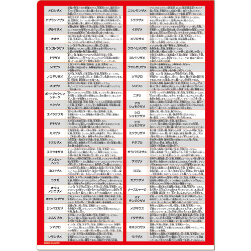 鮫大全 A4クリアファイル | AQUAS Gift Shop / online store