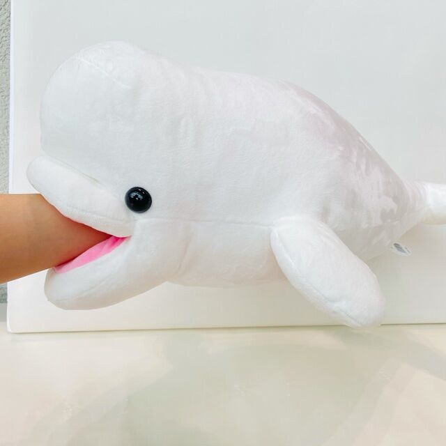 AQUASオリジナル かぷっとシロイルカ | AQUAS Gift Shop / onlin