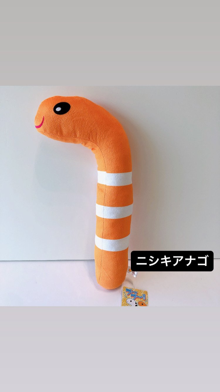 ブーブーチンアナゴ・ニシキアナゴ | AQUAS Gift Shop / online store