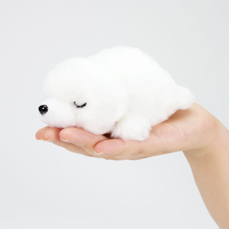 すやすやてのひらBABYアザラシ | AQUAS Gift Shop / online store