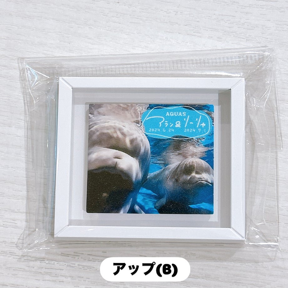 6a00114ff0ab5a2a5bec2cfe