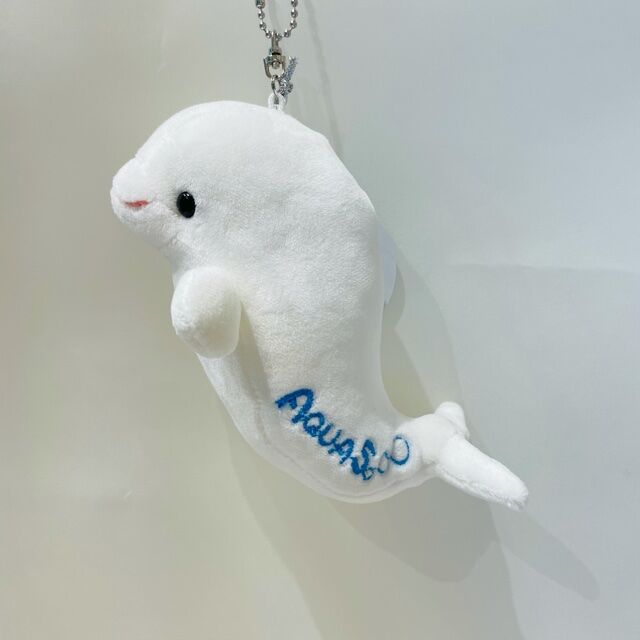 AQUASオリジナル もっちもちシロイルカキーホルダー | AQUAS Gift Shop