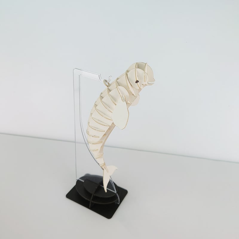 3Dペーパーパズル シロイルカ | AQUAS Gift Shop / online store