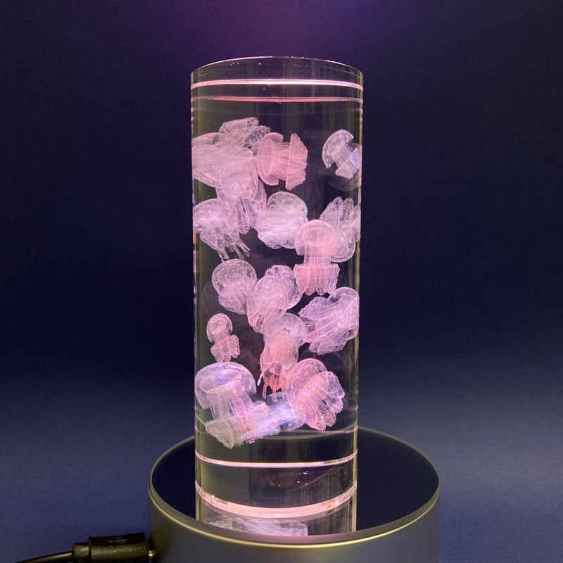 3Dアート タコクラゲ | AQUAS Gift Shop / online store 3Dアート タコクラゲ | AQUAS Gift Shop / online store