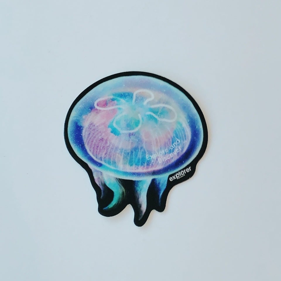 ステッカーズ | AQUAS Gift Shop / online store