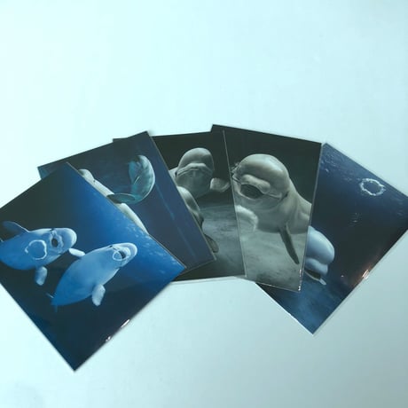 限定①価格★オリジナルレジンの金魚玉と手染めリボンのボールペン❤ 限定①価格☆オリジナルレジンの金魚玉と手染めリボンのボールペン❤