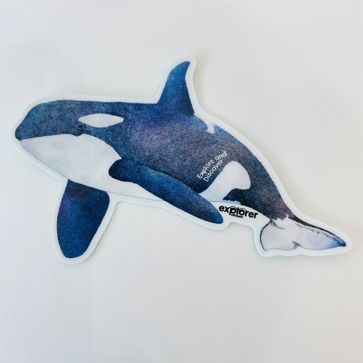 AQUA♧草 　カッティングステッカー AQUA♧草 カッティングステッカー Amazon.co.jp: AQUA アクア 二