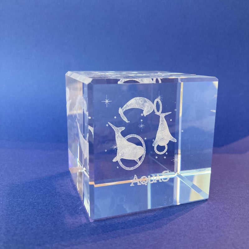 アクアスオリジナル 3Dアート3種の技 | AQUAS Gift Shop