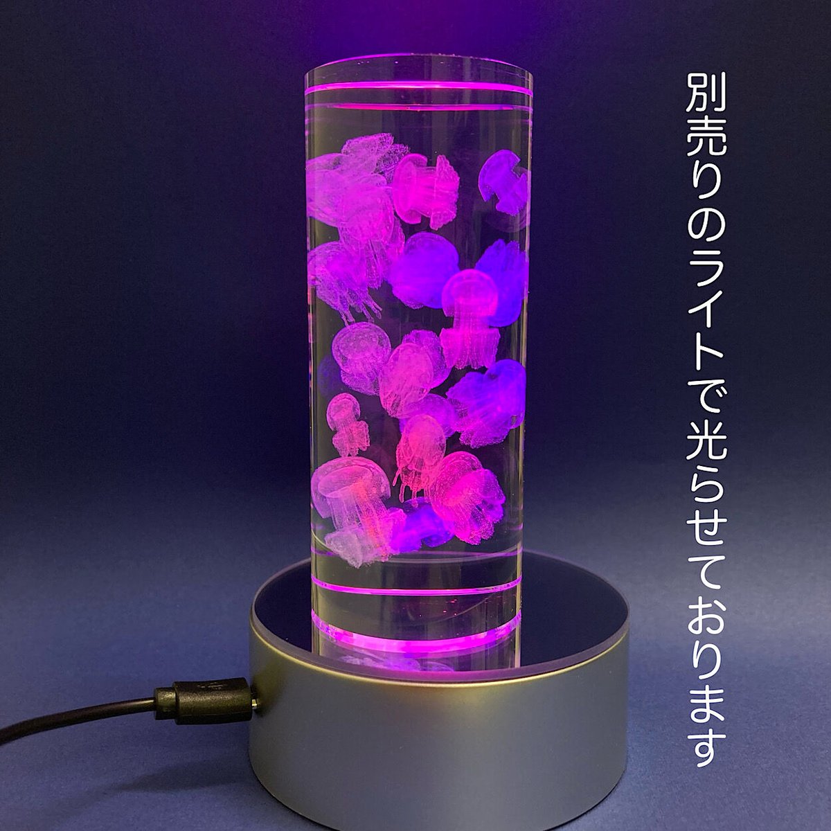 クラゲ ネイチャーテクニカラー クラゲ LEDライトコレクション （30個